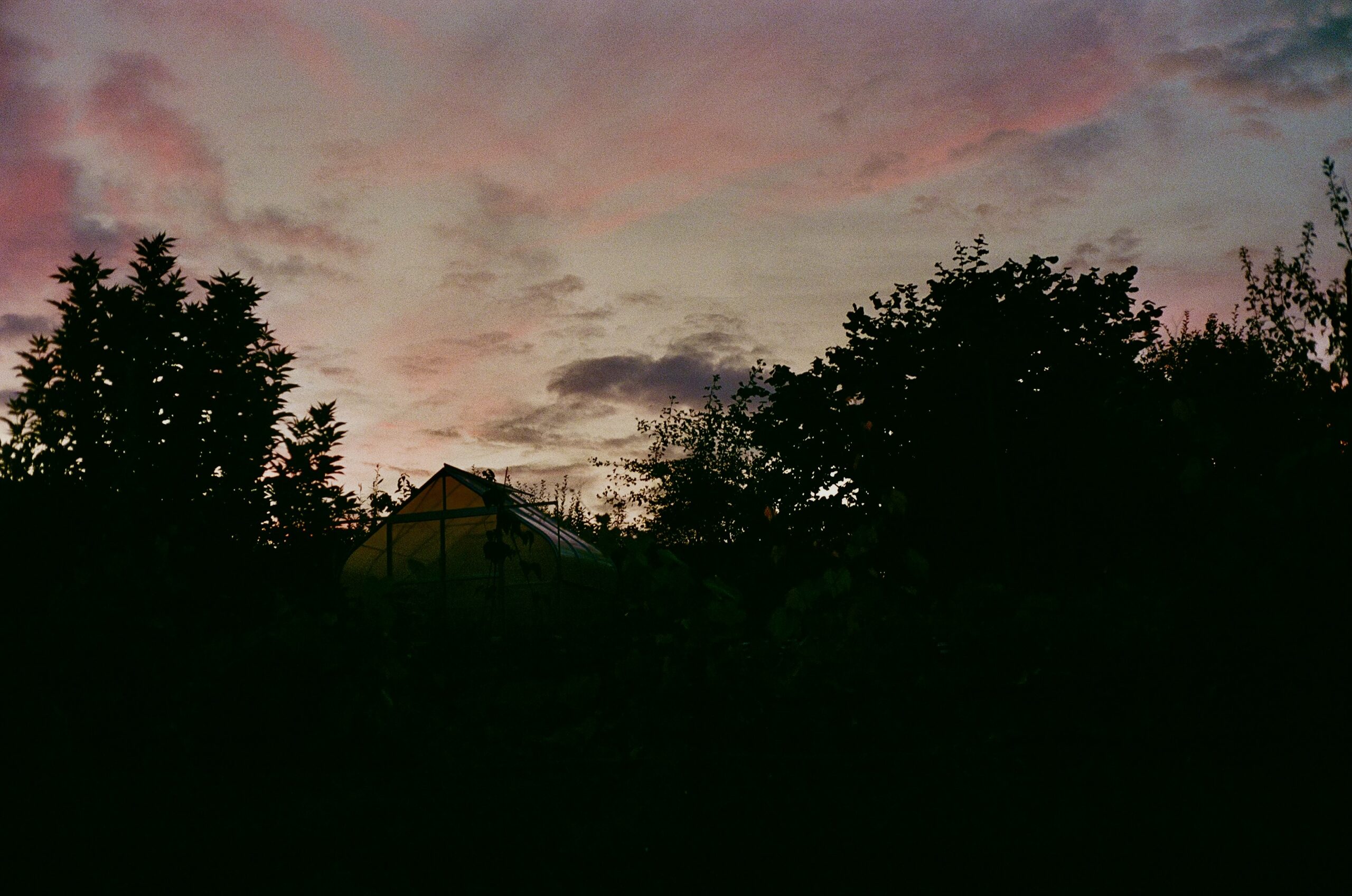 Ein Blick durch die analoge Linse – Minolta Hi-Matic 7sII